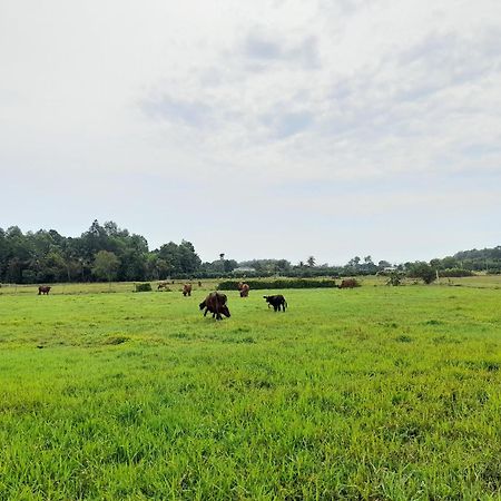 Lotus Farm Retreat 호치민 외부 사진