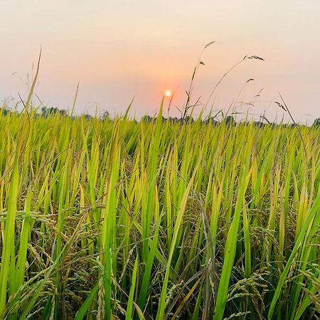 호치민 Lotus Farm Retreat 아파트 외부 사진