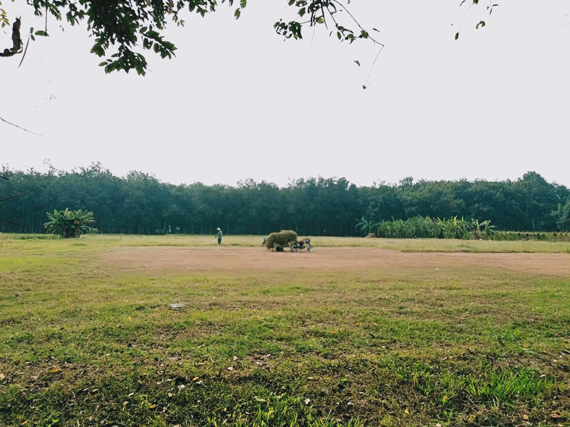 Lotus Retreat 호치민 외부 사진