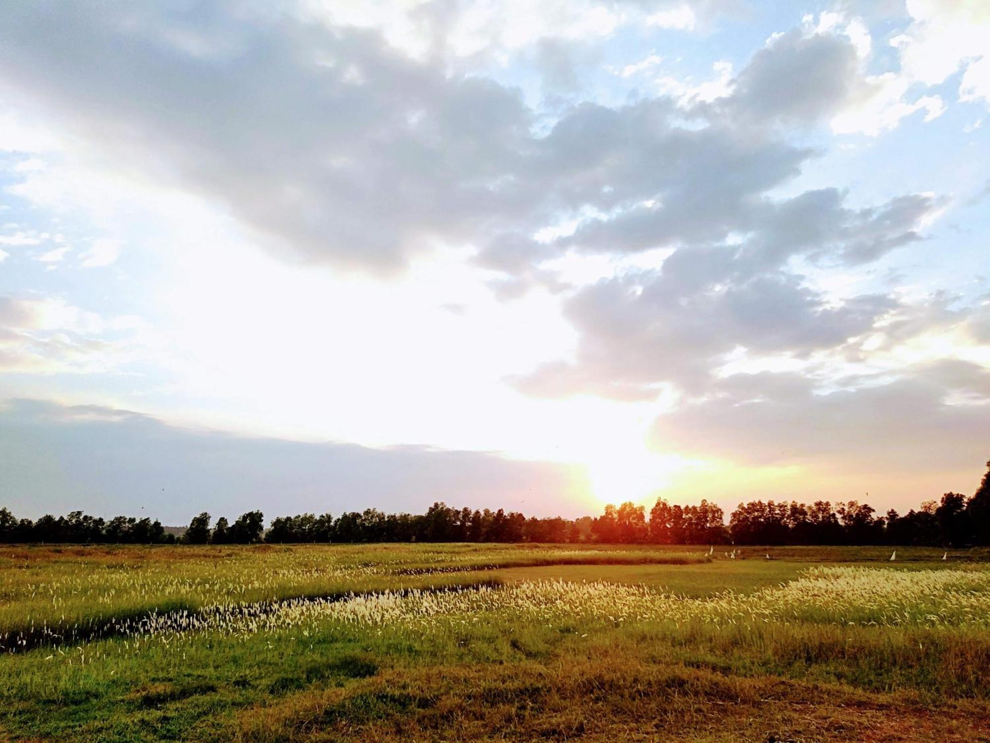Lotus Farm Retreat 호치민 외부 사진