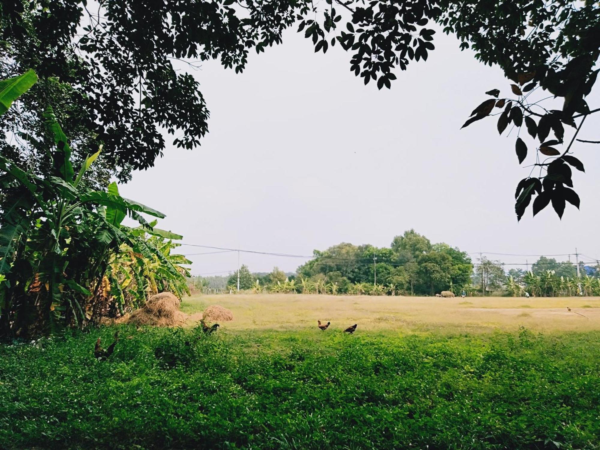 Lotus Farm Retreat 호치민 외부 사진
