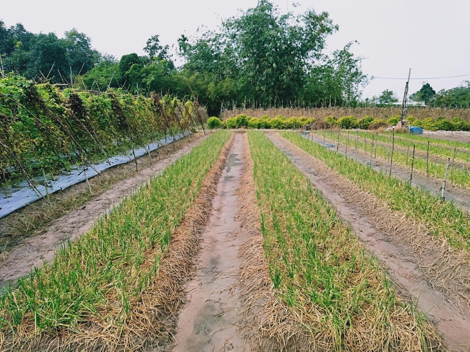 Lotus Farm Retreat 호치민 외부 사진