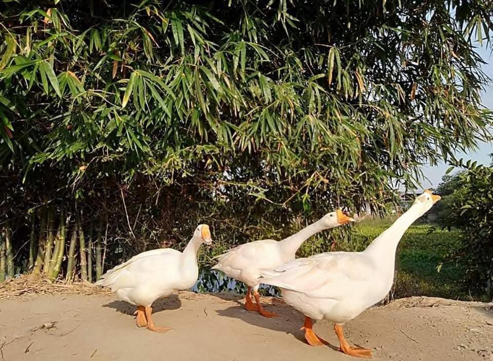 Lotus Farm Retreat 호치민 외부 사진